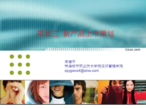 新产品上市策划 ppt