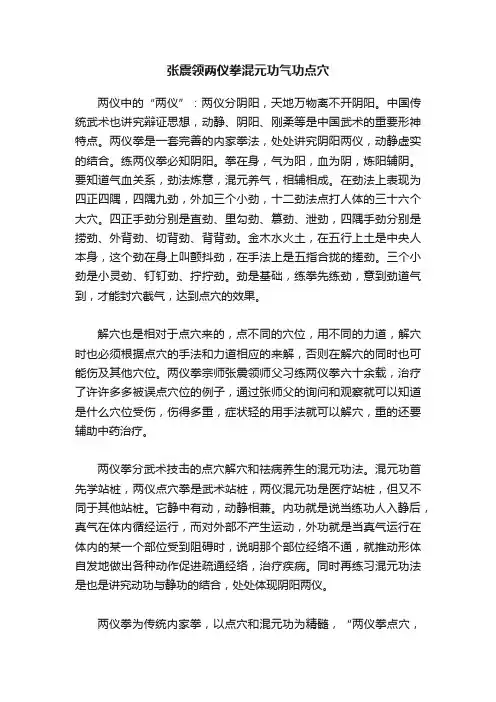 张震领两仪拳混元功气功点穴