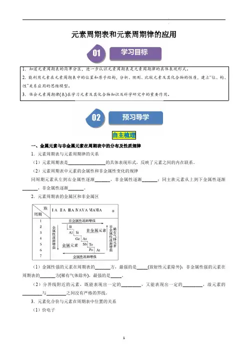 高中化学必修一教案讲义：元素周期表和元素周期律的应用(教师版)
