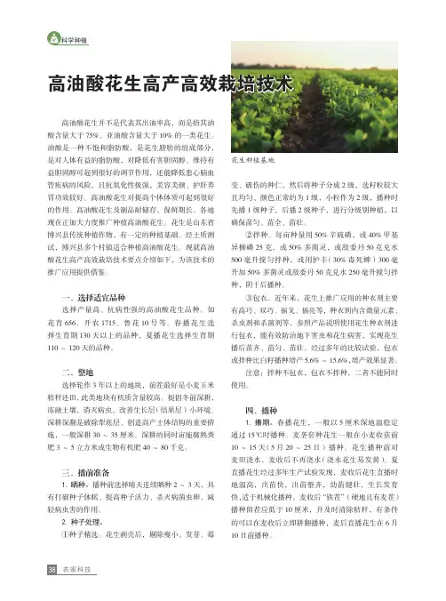 高油酸花生高产高效栽培技术