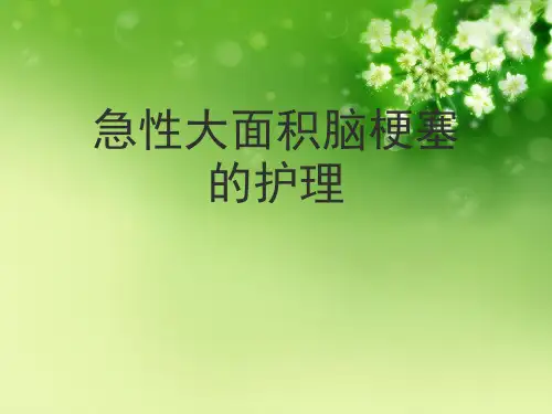 急性大面积脑梗塞的护理优秀课件