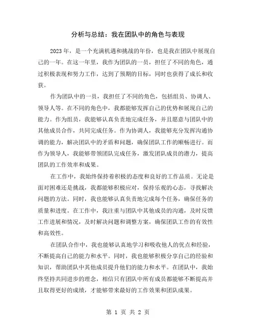 分析与总结：我在团队中的角色与表现