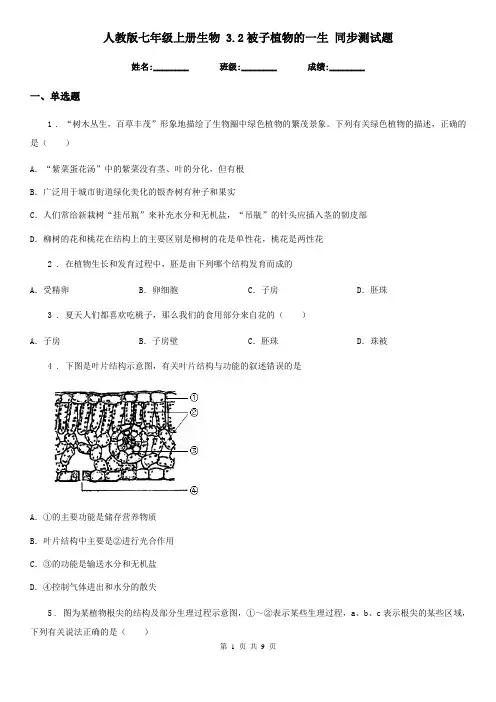 人教版七年级上册生物 3.2被子植物的一生 同步测试题