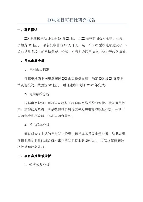 核电项目可行性研究报告