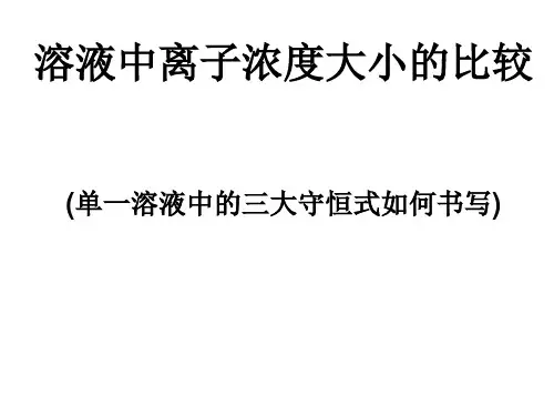 溶液中离子浓度大小的比较 高中化学必修二教学课件PPT 人教版