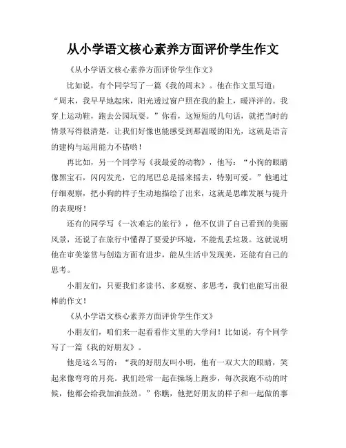 从小学语文核心素养方面评价学生作文