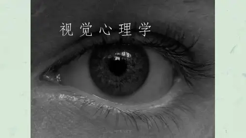 视觉心理学课件
