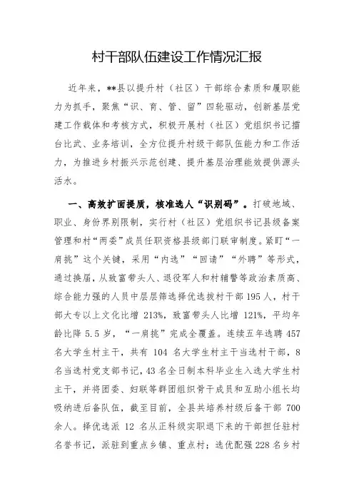 村干部队伍建设工作情况汇报