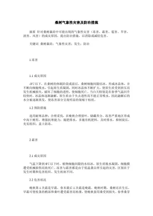桑树气象性灾害及防治措施