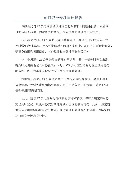 项目资金专项审计报告