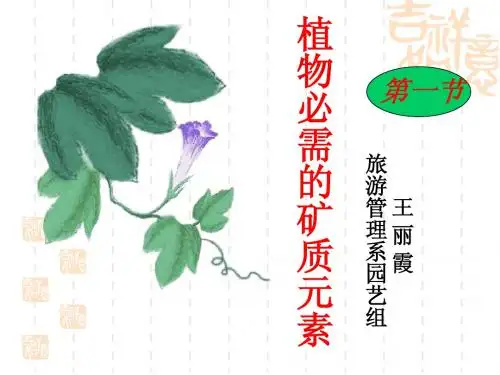 植物必需的矿质元素