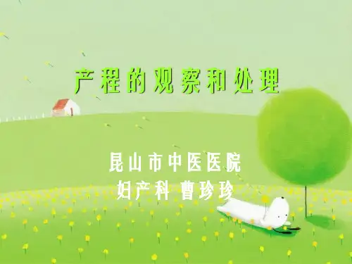 产程观察及处理幻灯片PPT