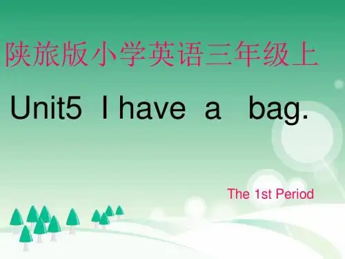 Unit5  I have  a   bag