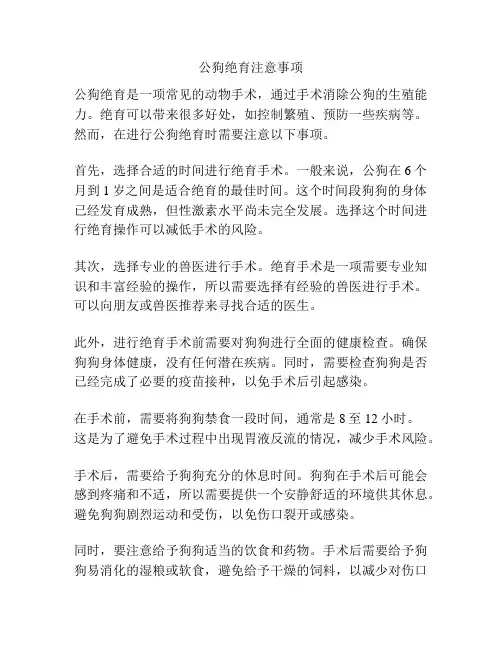 公狗绝育注意事项