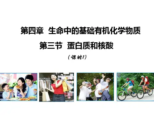 人教版高二化学选修5第4章第三节蛋白质和核酸第1课时(共34张PPT)