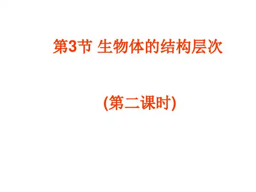第三节(2)生物的结构层次