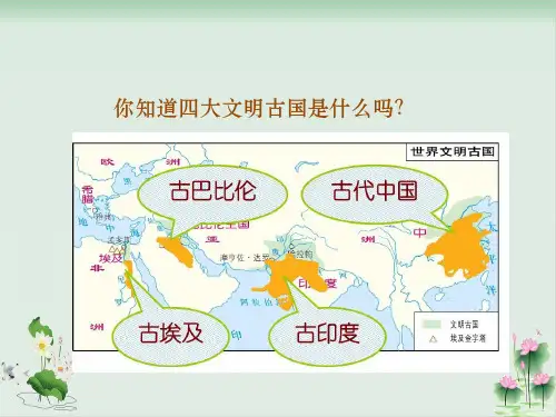 金字塔课件完美版ppt.pptx