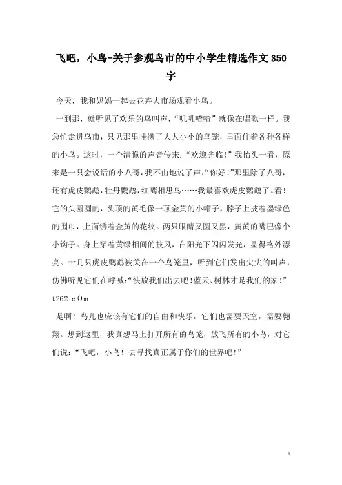 飞吧,小鸟-关于参观鸟市的中小学生精选作文350字