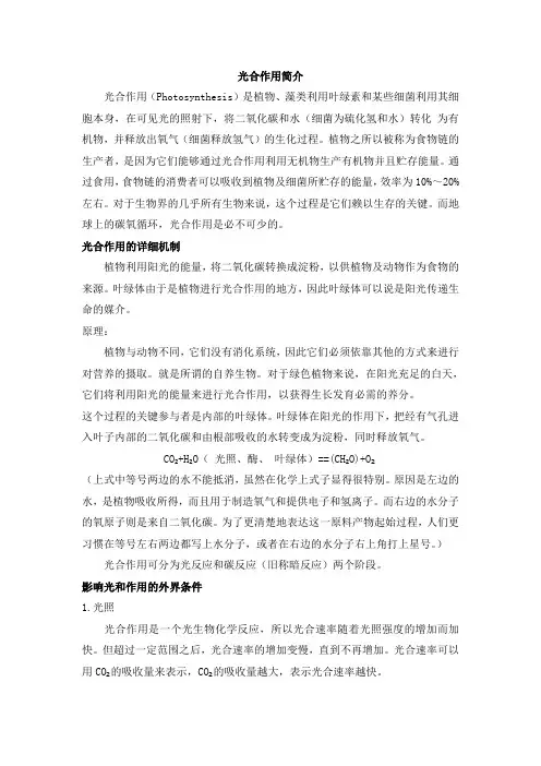 科教版小学科学-三年级-光合作用简介
