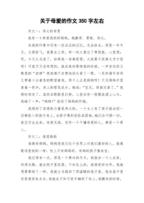 关于母爱的作文350字左右_作文