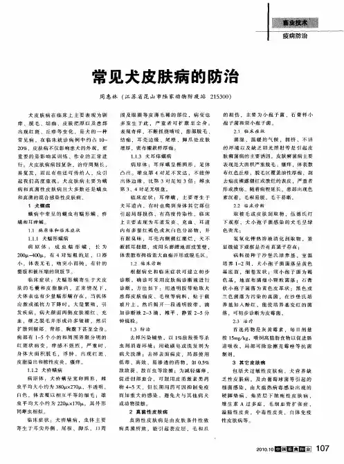 常见犬皮肤病的防治
