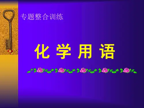 人教版九年级化学中考专题复习   化学用语 (共23张PPT)