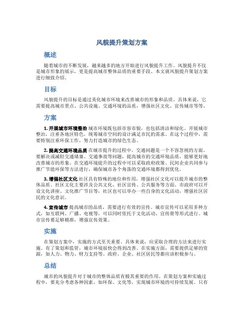 风貌提升策划方案