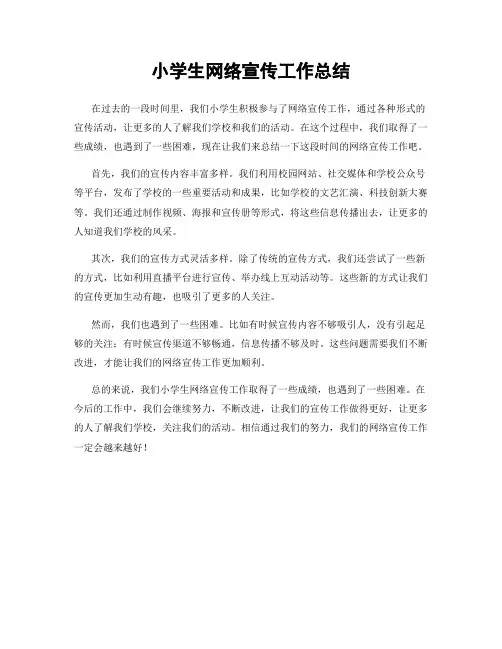 小学生网络宣传工作总结