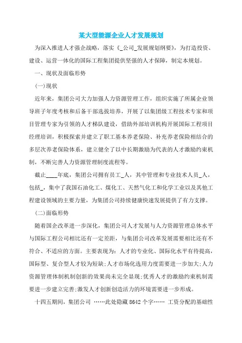 某大型能源企业人才发展规划