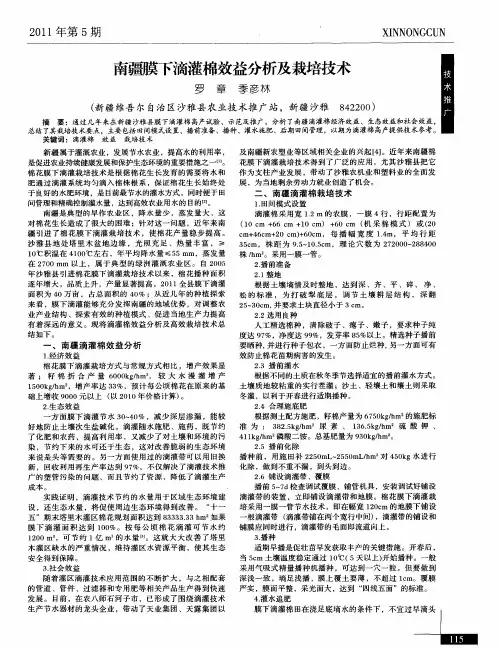 南疆膜下滴灌棉效益分析及栽培技术