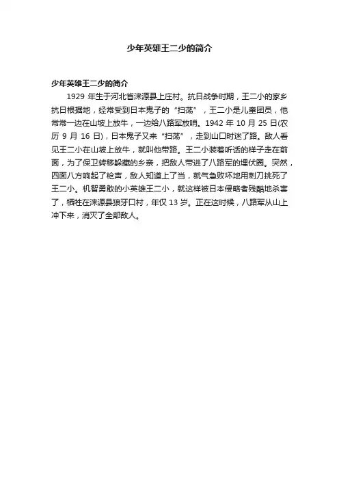 少年英雄王二少的简介