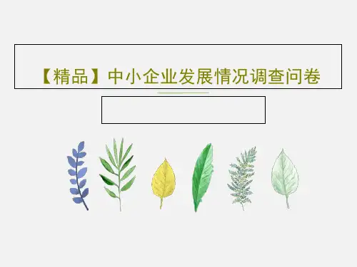 【精品】中小企业发展情况调查问卷20页PPT