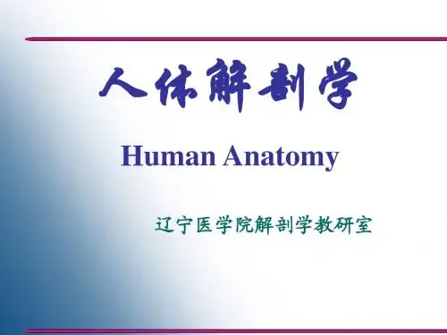 绪论、骨学总论、躯干、四肢骨.ppt