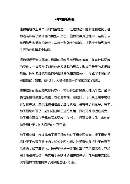 植物的演变
