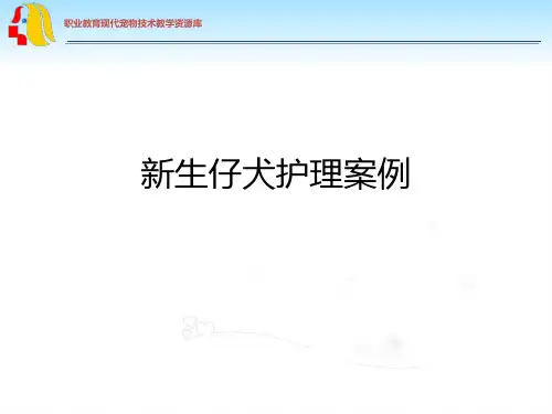 新生仔犬护理案例.