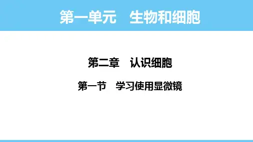 1.2.1 学习使用显微镜课件(共34张PPT)人教版(2024)七年级生物上册.ppt