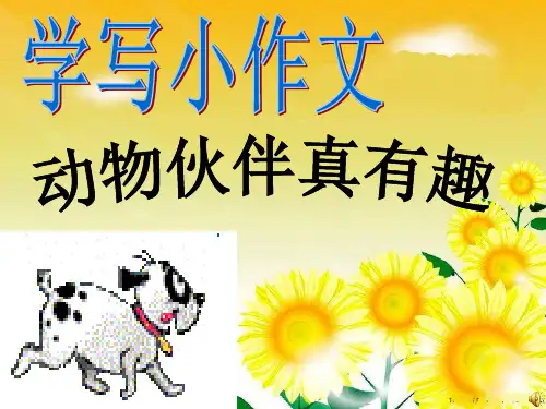 金鱼作文.ppt精品PPT课件