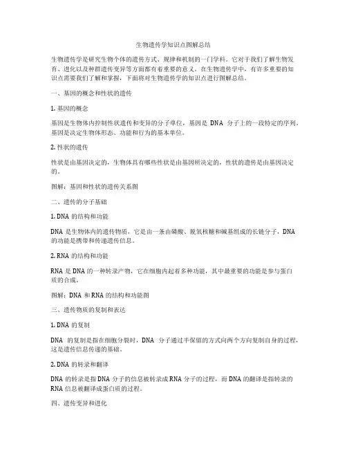 生物遗传学知识点图解总结