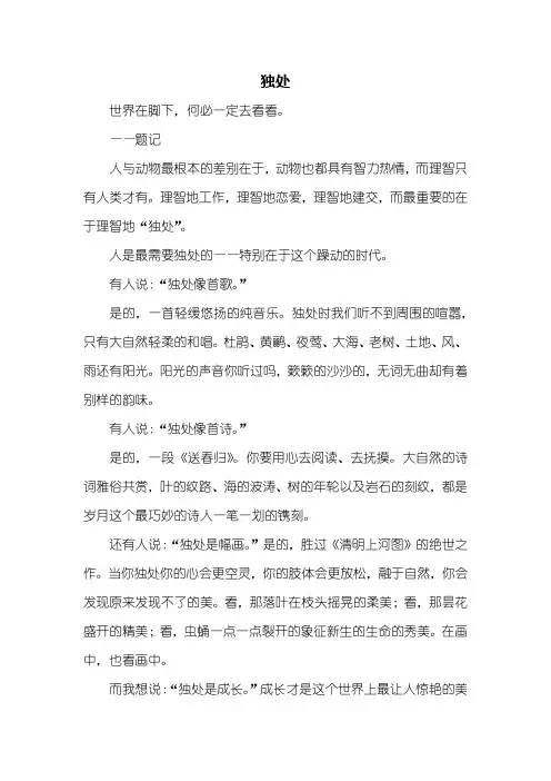 初三作文：独处议论文800字
