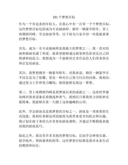 101个梦想目标