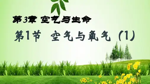 浙教版科学八级下册空气与氧气ppt_8