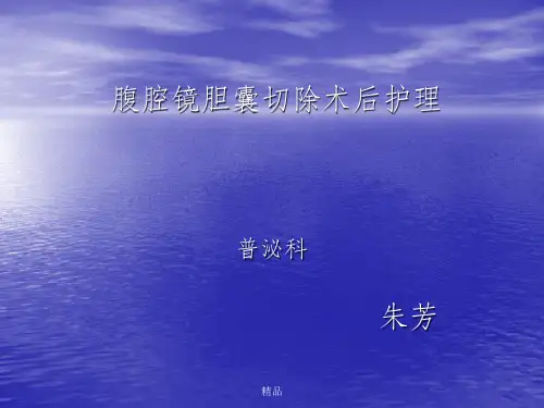 腹腔镜胆囊切除术后护理及腹腔引流管的护理ppt课件