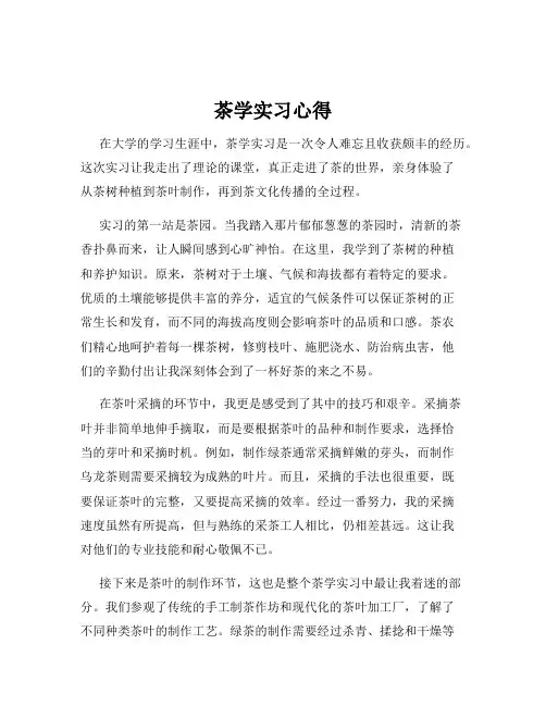茶学实习心得