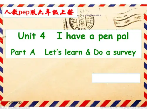 人教PEP六年级上册英语Unit 4 I have a pen pal A课件