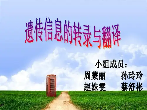 遗传信息的转录与翻译 ppt课件