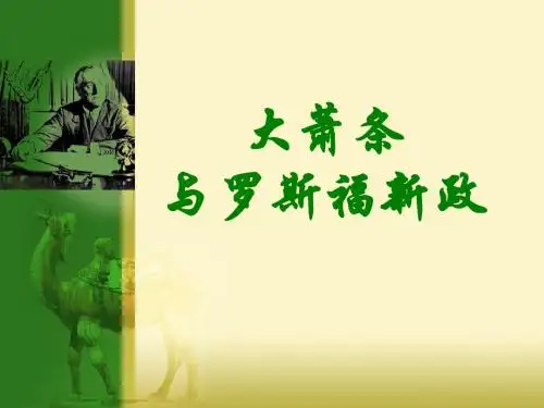 第15课 大萧条与罗斯福新政【岳麓版】(课件张彭友)