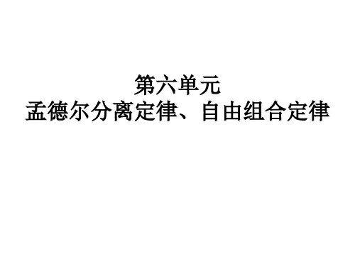 孟德尔分离定律、自由组合定律
