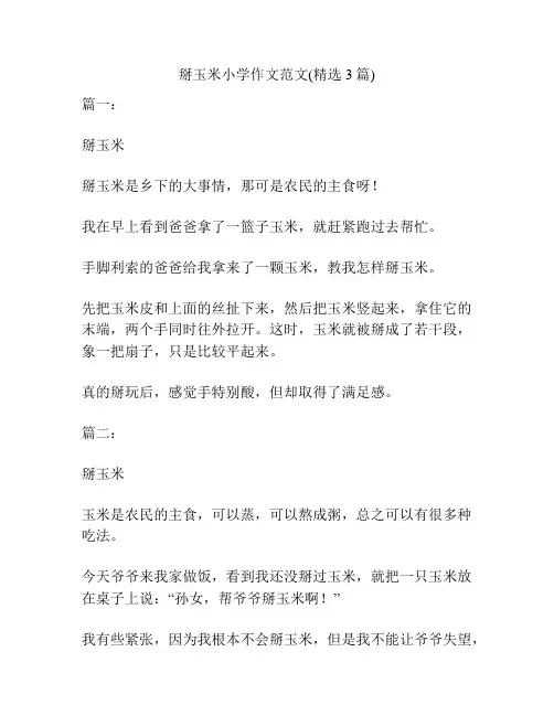 掰玉米小学作文范文(精选3篇)