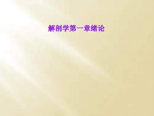 解剖学第一章绪论