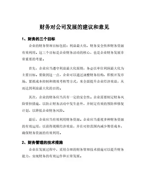 财务对公司发展的建议和意见
